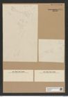Trinacria escavata var. simbirskiana Grun. (de-Toni-Nr.: Genus 119, Species 3418) Zeichnungen Sammlung Grunow Nr. 6874 (NHMW-BOT-W0375735)